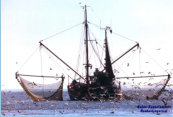 Kutter auf Fischfang im Wattenmeer